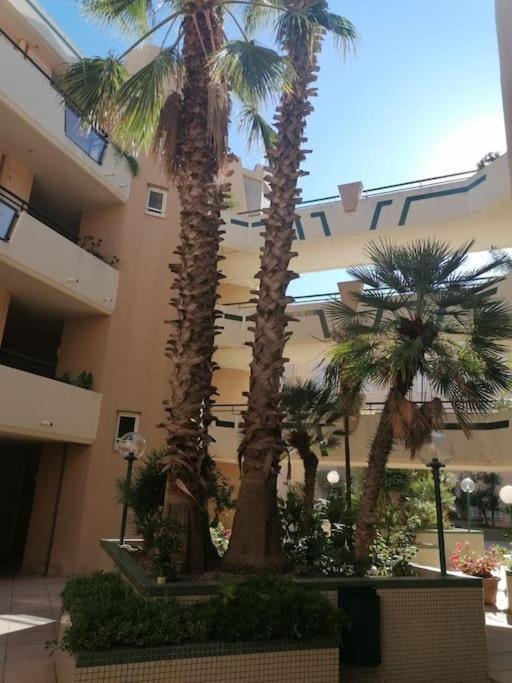 Appartement Vue Mer سُت المظهر الخارجي الصورة